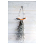 Mini U-Bend Air Plant Hanger