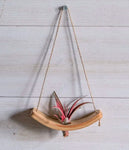 Mini U-Bend Air Plant Hanger