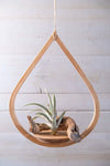 Single Tear Drop Hanging Planter