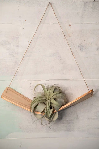 Twisted Air Plant Hammock Hanger